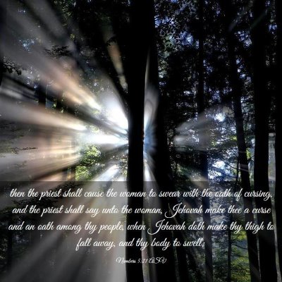 Picture 03 - Numbers 5:21 ASV - then the priest shall cause the woman to swear - Bible Verse Picture