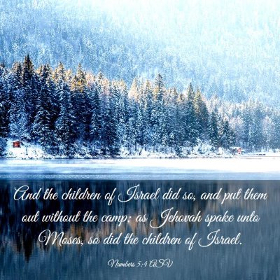 Picture 03 - Numbers 5:4 ASV - And the children of Israel did so, and put them - Bible Verse Picture