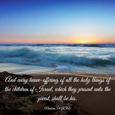 Picture 03 - Numbers 5:9 ASV - And every heave-offering of all the holy things - Bible Verse Picture