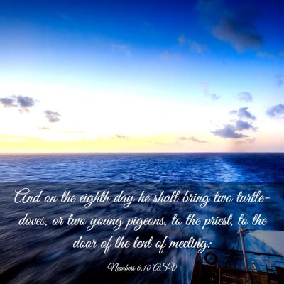 Picture 03 - Numbers 6:10 ASV - And on the eighth day he shall bring two - Bible Verse Picture
