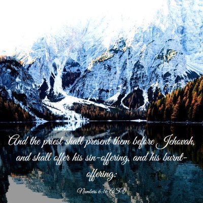 Picture 03 - Numbers 6:16 ASV - And the priest shall present them before Jehovah, - Bible Verse Picture