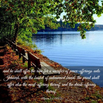 Picture 03 - Numbers 6:17 ASV - and he shall offer the ram for a sacrifice of - Bible Verse Picture