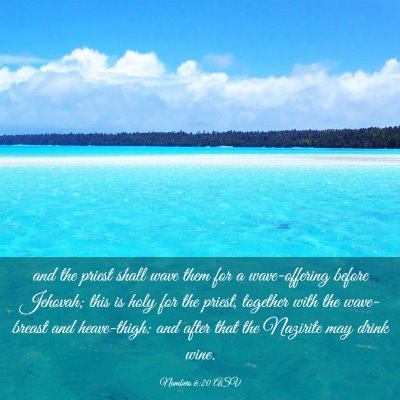 Picture 03 - Numbers 6:20 ASV - and the priest shall wave them for a - Bible Verse Picture