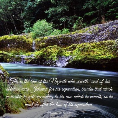 Picture 03 - Numbers 6:21 ASV - This is the law of the Nazirite who voweth, `and - Bible Verse Picture