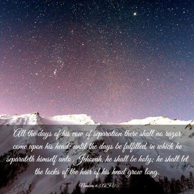 Picture 03 - Numbers 6:5 ASV - All the days of his vow of separation there shall - Bible Verse Picture