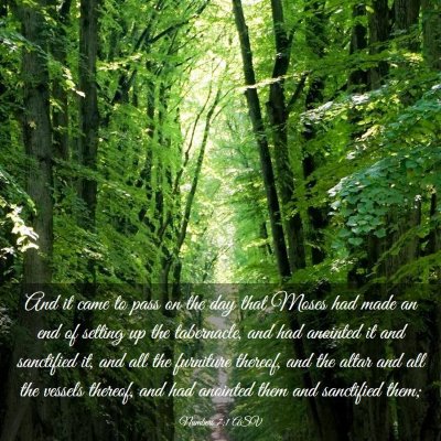 Picture 03 - Numbers 7:1 ASV - And it came to pass on the day that Moses had - Bible Verse Picture
