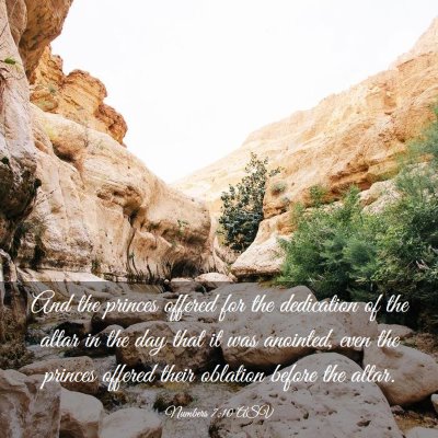Picture 03 - Numbers 7:10 ASV - And the princes offered for the dedication of the - Bible Verse Picture