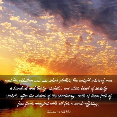 Picture 03 - Numbers 7:13 ASV - and his oblation was one silver platter, the - Bible Verse Picture