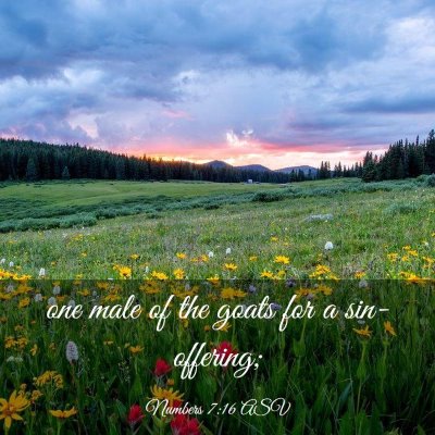 Picture 03 - Numbers 7:16 ASV - one male of the goats for a - Bible Verse Picture