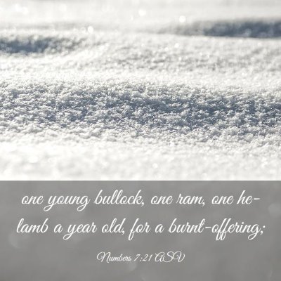 Picture 03 - Numbers 7:21 ASV - one young bullock, one ram, one he-lamb a year - Bible Verse Picture
