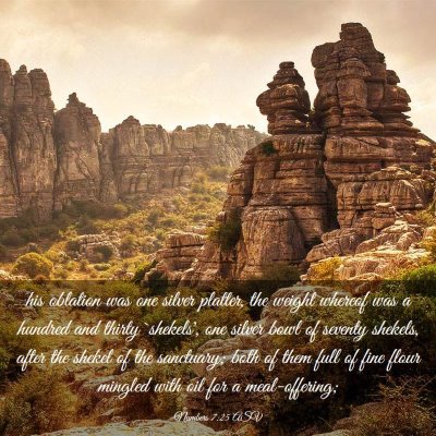 Picture 03 - Numbers 7:25 ASV - his oblation was one silver platter, the weight - Bible Verse Picture