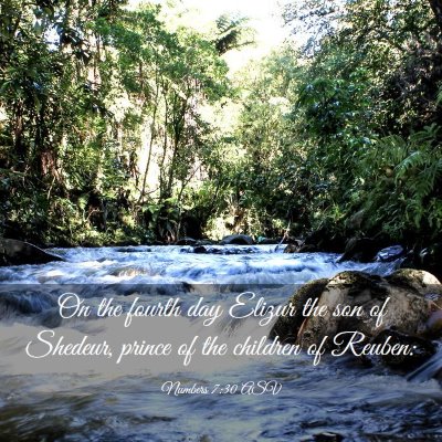 Picture 03 - Numbers 7:30 ASV - On the fourth day Elizur the son of Shedeur, - Bible Verse Picture