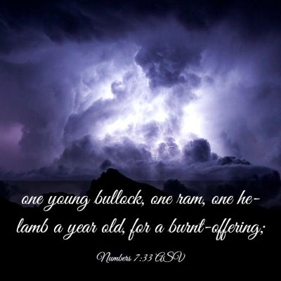 Picture 03 - Numbers 7:33 ASV - one young bullock, one ram, one he-lamb a year - Bible Verse Picture