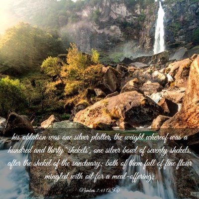Picture 03 - Numbers 7:43 ASV - his oblation was one silver platter, the weight - Bible Verse Picture