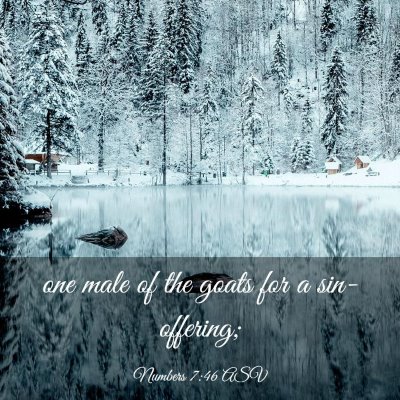 Picture 03 - Numbers 7:46 ASV - one male of the goats for a - Bible Verse Picture