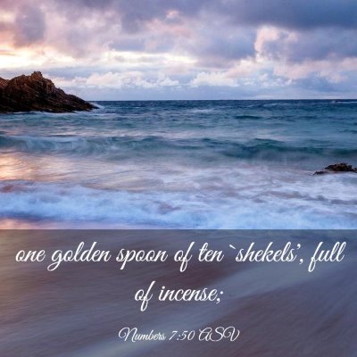 Picture 03 - Numbers 7:50 ASV - one golden spoon of ten `shekels', full of - Bible Verse Picture
