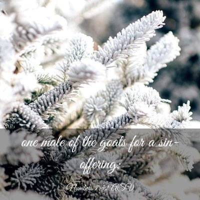 Picture 03 - Numbers 7:52 ASV - one male of the goats for a - Bible Verse Picture