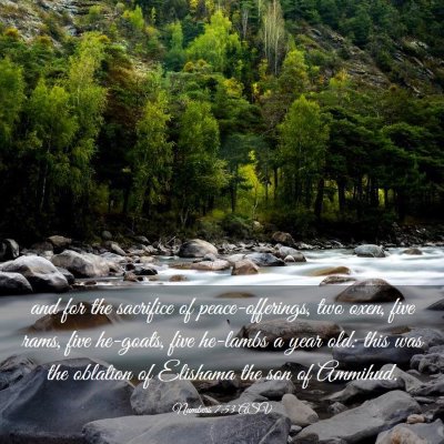 Picture 03 - Numbers 7:53 ASV - and for the sacrifice of peace-offerings, two - Bible Verse Picture