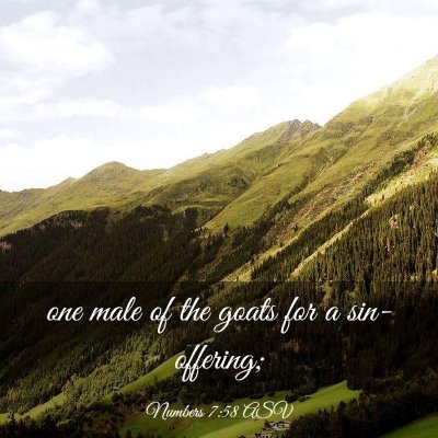 Picture 03 - Numbers 7:58 ASV - one male of the goats for a - Bible Verse Picture