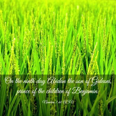 Picture 03 - Numbers 7:60 ASV - On the ninth day Abidan the son of Gideoni, - Bible Verse Picture