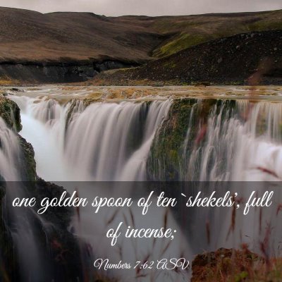 Picture 03 - Numbers 7:62 ASV - one golden spoon of ten `shekels', full of - Bible Verse Picture