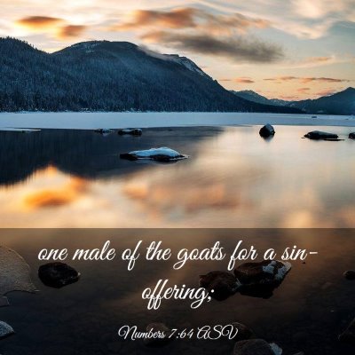 Picture 03 - Numbers 7:64 ASV - one male of the goats for a - Bible Verse Picture