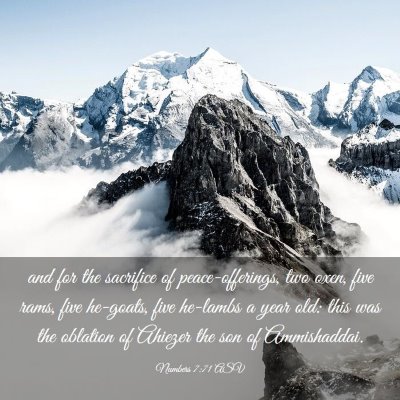 Picture 03 - Numbers 7:71 ASV - and for the sacrifice of peace-offerings, two - Bible Verse Picture
