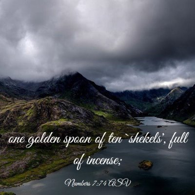Picture 03 - Numbers 7:74 ASV - one golden spoon of ten `shekels', full of - Bible Verse Picture