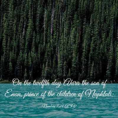 Picture 03 - Numbers 7:78 ASV - On the twelfth day Ahira the son of Enan, prince - Bible Verse Picture
