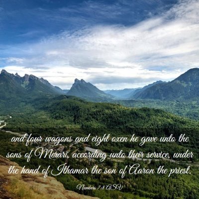 Picture 03 - Numbers 7:8 ASV - and four wagons and eight oxen he gave unto the - Bible Verse Picture
