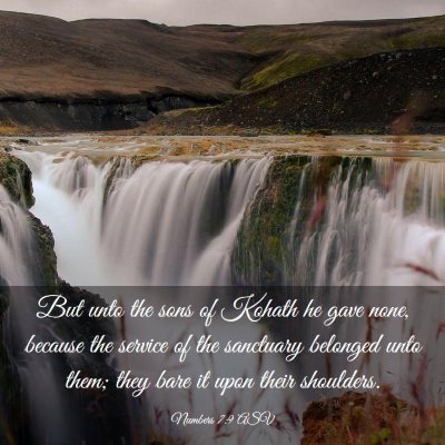 Picture 03 - Numbers 7:9 ASV - But unto the sons of Kohath he gave none, because - Bible Verse Picture