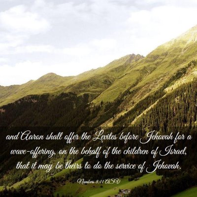 Picture 03 - Numbers 8:11 ASV - and Aaron shall offer the Levites before Jehovah - Bible Verse Picture