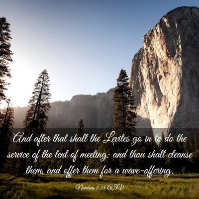 Picture 03 - Numbers 8:15 ASV - And after that shall the Levites go in to do the - Bible Verse Picture