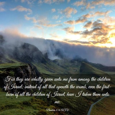 Picture 03 - Numbers 8:16 ASV - For they are wholly given unto me from among the - Bible Verse Picture