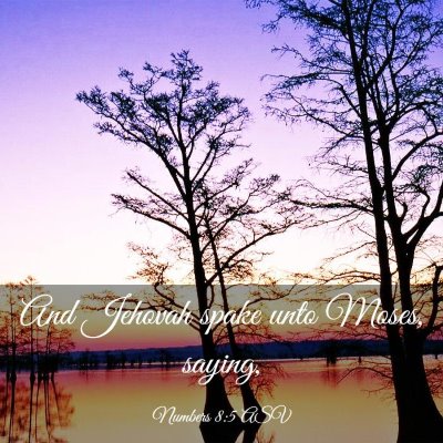 Picture 03 - Numbers 8:5 ASV - And Jehovah spake unto Moses, - Bible Verse Picture