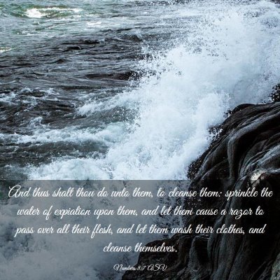 Picture 03 - Numbers 8:7 ASV - And thus shalt thou do unto them, to cleanse - Bible Verse Picture