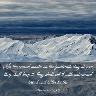 Picture 03 - Numbers 9:11 ASV - In the second month on the fourteenth day at even - Bible Verse Picture