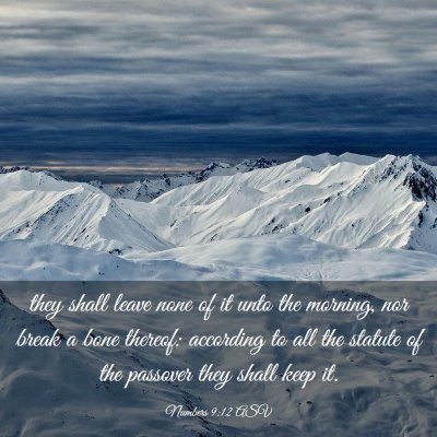 Picture 03 - Numbers 9:12 ASV - they shall leave none of it unto the morning, nor - Bible Verse Picture