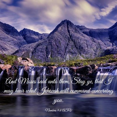 Picture 03 - Numbers 9:8 ASV - And Moses said unto them, Stay ye, that I may - Bible Verse Picture