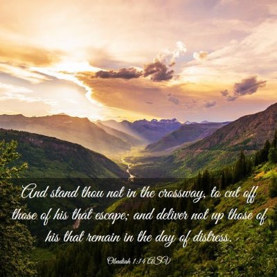 Picture 03 - Obadiah 1:14 ASV - And stand thou not in the crossway, to cut off - Bible Verse Picture