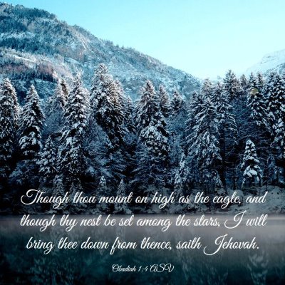 Picture 03 - Obadiah 1:4 ASV - Though thou mount on high as the eagle, and - Bible Verse Picture
