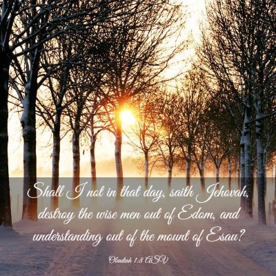 Picture 03 - Obadiah 1:8 ASV - Shall I not in that day, saith Jehovah, destroy - Bible Verse Picture