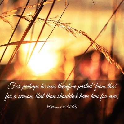 Picture 03 - Philemon 1:15 ASV - For perhaps he was therefore parted `from thee' - Bible Verse Picture