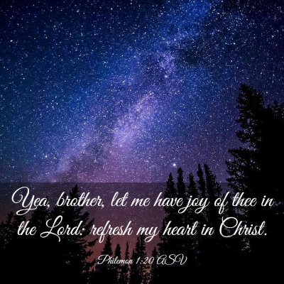 Picture 03 - Philemon 1:20 ASV - Yea, brother, let me have joy of thee in the - Bible Verse Picture