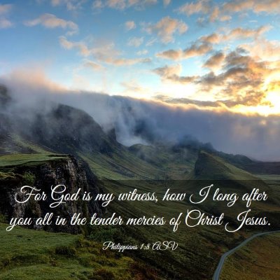 Picture 03 - Philippians 1:8 ASV - For God is my witness, how I long after you all - Bible Verse Picture