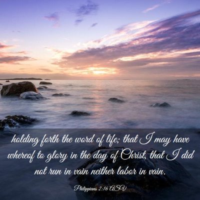 Picture 03 - Philippians 2:16 ASV - holding forth the word of life; that I may have - Bible Verse Picture
