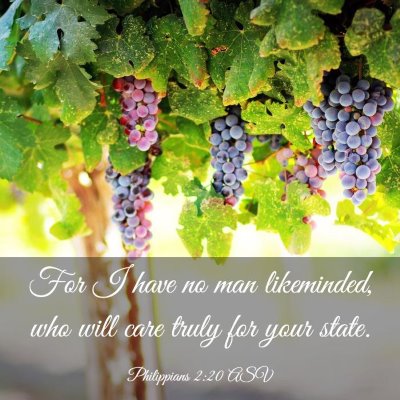 Picture 03 - Philippians 2:20 ASV - For I have no man likeminded, who will care truly - Bible Verse Picture