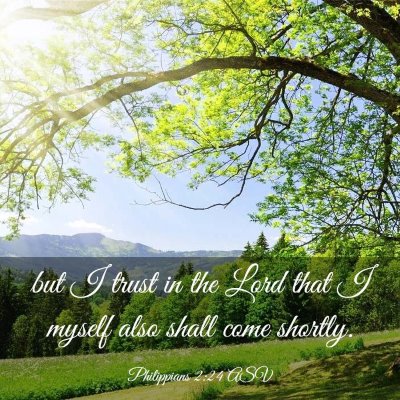 Picture 03 - Philippians 2:24 ASV - but I trust in the Lord that I myself also shall - Bible Verse Picture
