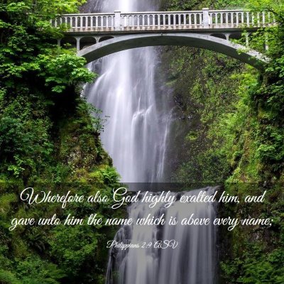 Picture 03 - Philippians 2:9 ASV - Wherefore also God highly exalted him, and gave - Bible Verse Picture