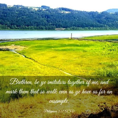 Picture 03 - Philippians 3:17 ASV - Brethren, be ye imitators together of me, and - Bible Verse Picture